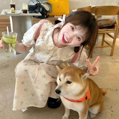 念无双剧版