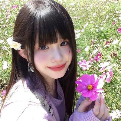 蜘蛛网